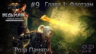 Ведьмак 2: Убийцы Королей - Роза Памяти