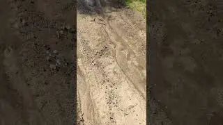 Это нечто большее, чем красота...