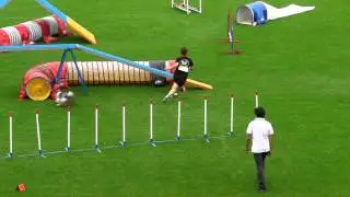 European Open 2012 - Individual finals - Maho Yamaguchi and Suzuka.