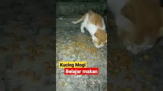Masih Paud 😅 || #shorts #funnyvideo