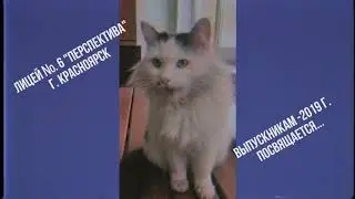 Поздравление от  учителей выпускникам 2019