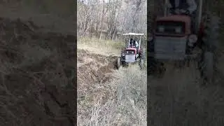 Massey Ferguson ile çift sürerken