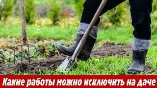 Какие РАБОТЫ можно исключить на ОГОРОДЕ освободив себе время на отдых Дачные МИФЫ И ЗАБЛУЖДЕНИЯ
