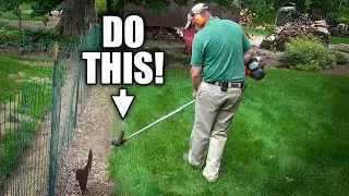 HOW TO EDGE A LAWN TIPS 👈 💪 🎯