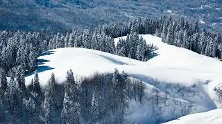 DJ T. H. - Leonie (Torsten Stenzel Remix) [AVA White]