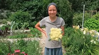 Fermenting, Canning, and Curing The Harvest!