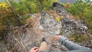 Незапланированный сбор шишки. Поход за черникой.