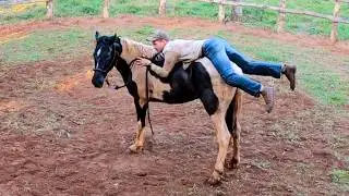First Time On The WILD HORSE! | Taming a Wild Horse [EP10]