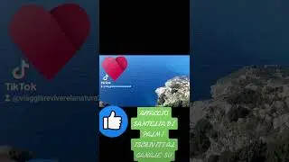 AFFACCIO SANTELIA DI PALMI N 1