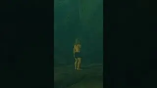 Link Is Snake From Metal Gear