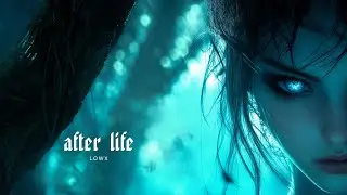 LOWX - AFTER LIFE