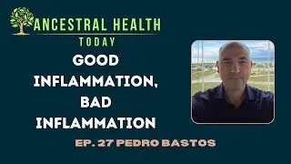 Pedro Bastos - Good Inflammation, Bad Inflammation - (Ancestral Health Today Episode 027)