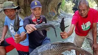 APAT NA KALALAKEHAN SA BULACAN NA KUMAEN NG JANITOR FISH NASA MAGANDANG KALAGAYAN NA