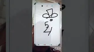 Пчелобаб или простая иллюзия 11
