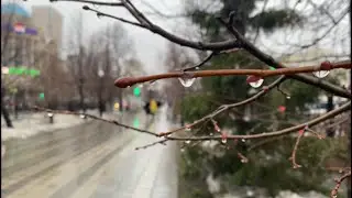 Конец марта. Дождливый день в Екатеринбурге