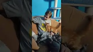 Так проходят наши вечера!