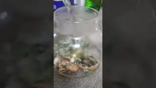 Просто вкусный чай