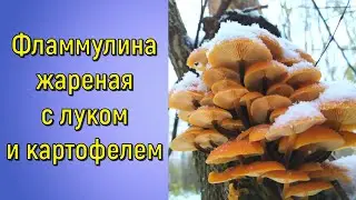 Фламмулина жареная с луком и картофелем