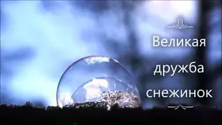5 Б отмечает Новый год. 