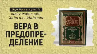 Вера в предопределение | Шейх Рабиа аль-Мадхали | Шарх Усуль ас-Сунна (5)
