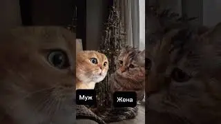 А какой подарок хотите вы?🙂 