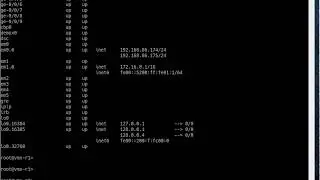 14. Juniper SLAX Op script to disable interface on router