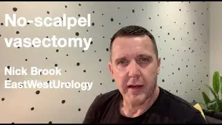 What is a no-scalpel Vasectomy?