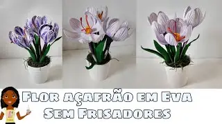Flor açafrão