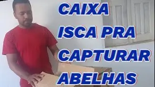 CAIXA ISCA PARA CAPTURA DE ENXAMES VOADORES COM BAIXO CUSTO! CONFIRA 👆👆