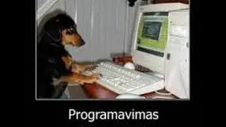 Programavimas naujokams - html/css - 01 epizodas