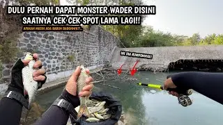 ADA RUMPON POTENSI SARANG BABON BABON!! Mancing wader teknik kumbul di sungai pedesaan