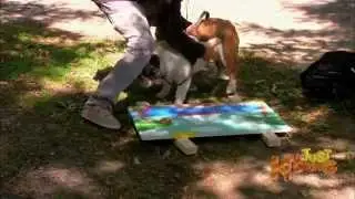 Dog Poops on Painting! - Just Kidding -