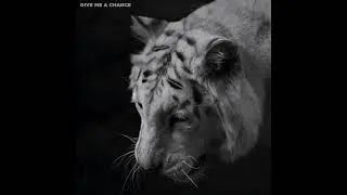 Give me a Chance