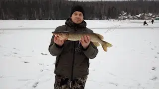 Перволедье 2019