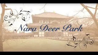 Nara Deer Park
