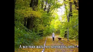 А всё таки жаль, что кончилось лето. (Юрий Кукин)