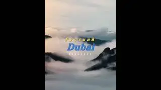 Аренда ламборгини в Сочи