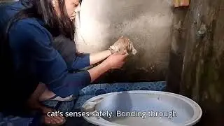 A Fun Day Out with Little Orange Cat and Mas Agel From the Field to Grooming