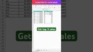 Excel trick 14 to get top sales 