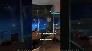 Кофейня с видом на акул😍🦈