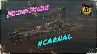 World of Warships Дикая волна эсм.Carnal