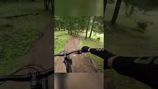 HARDTAIL goes to the BIKE PARK!! Spiazzi di Gromo bike park