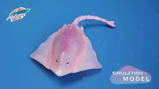 Mini Remote Controlled Simulated Swimming Manta Ray Cool Lighting