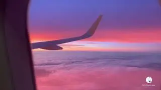 EL VUELO DE LAS SIETE