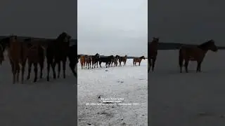 Минутка релакса