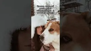 АЛАБАЙ И Я ПОСЛЕ ПРОСМОТРА СЛОВО ПАЦАНА #алабай