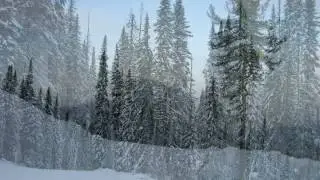 Тисульский район, п. Белогорск
