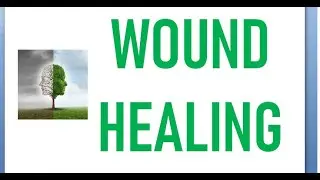 Surgery 012 Wound Healing steps phase process inflammatory proliferative remodeling injury stage