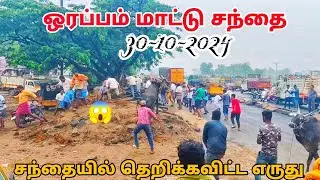 30-10-2024 சந்தையில் தெறிக்கவிட்ட எருது 😱 ஒரப்பம் மாட்டு சந்தை கிருஷ்ணகிரி மாவட்டம்