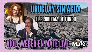 URUGUAY SIN AGUA: EL PROBLEMA DE FONDO | VIOLE WEBER EN MATE LIVE